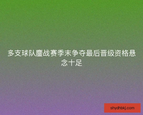 多支球队鏖战赛季末争夺最后晋级资格悬念十足 多支球队鏖战赛季末争夺最后晋级资格悬念十足