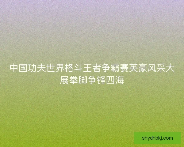中国功夫世界格斗王者争霸赛英豪风采大展拳脚争锋四海 中国功夫世界格斗王者争霸赛英豪风采大展拳脚争锋四海