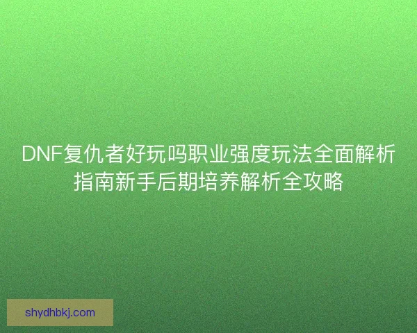 DNF复仇者好玩吗职业强度玩法全面解析指南新手后期培养解析全攻略